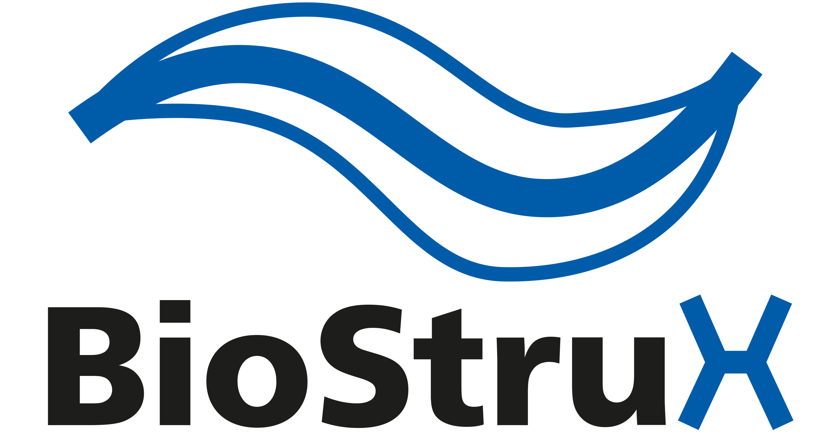 biostrux_logo